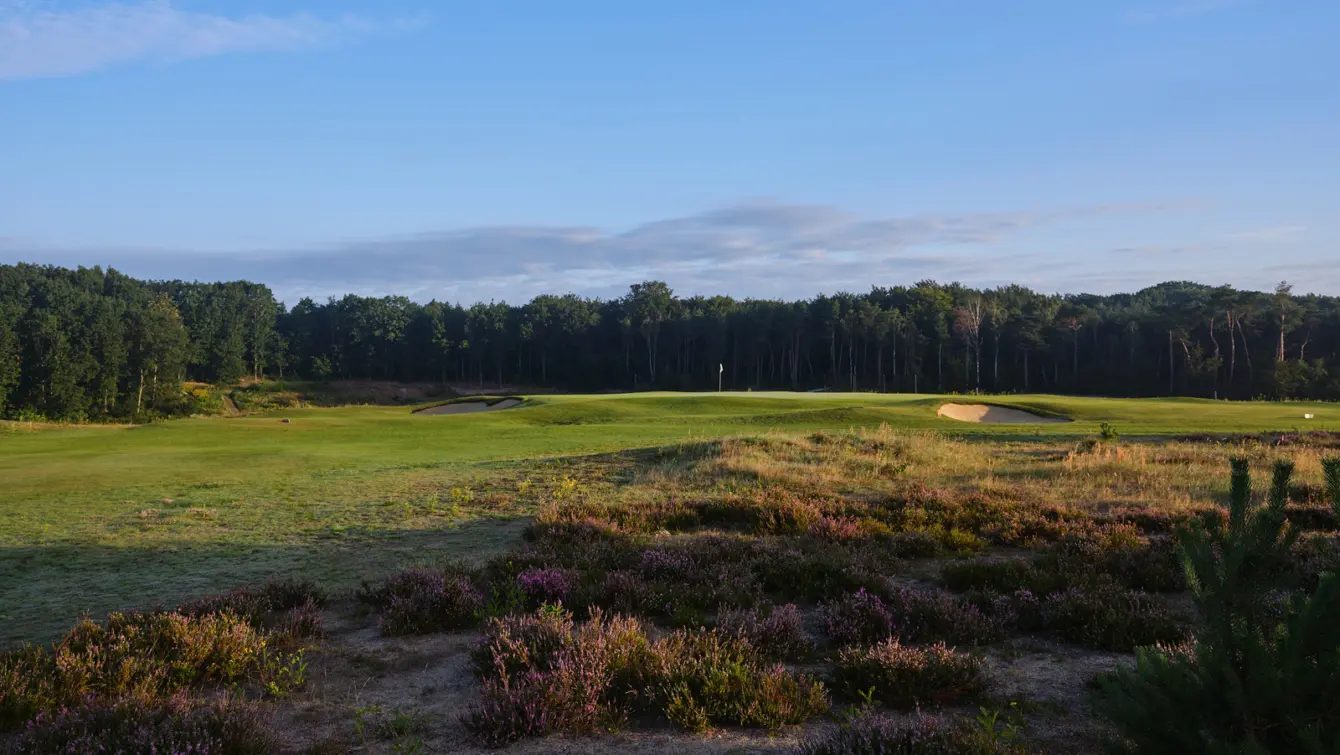 Golfen